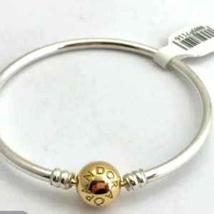 ****HOST PICK*****Pandora Solid 14k Gold 925 Silver 'Moments' Bangle
